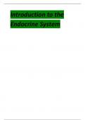 Introduction to the Endocrine System.pdf