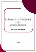 RSE4801 ASSIGNMENT 1 – 2023 (745272)