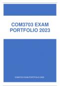 COM3703 EXAM (PORTFOLIO) 2023