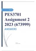 PES3701 Assignment 2 2023 (673999)