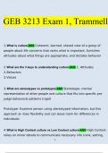 GEB 3213 Exam 1 Trammell Questions and Answers 2023 (Verified Answers)