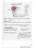 Summary Complete Biology for Cambridge Secondary 1 Student Book -  Biology  chapter 2 lesson 43 : excretion 