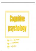 A level cognitive psychology content notes 