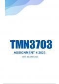 TMN3703 Semester 01 assignment 04