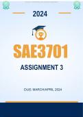 SAE3701 Assignment 3 2024