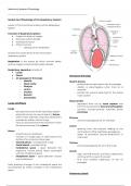 Class Notes (Vphy) Vet. Physiology: Respiratory System 