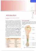 Exploring the Wonders of the Upper Limb: A Comprehensive Guide to Human Anatomy | MBBS |  ANATOMY | UPPER LIMB BONE 