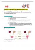 Physiology: The Kidneys Regulations of Water and Inorganic Ions.