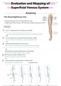 mapping of superficial venous system