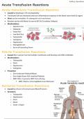 Acute-Transfusion-Reactions-Blood-Transfusions-Lecture-Notes.pdf