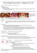Samenvatting cariologie en preventie  (MHVP1CLL3A)