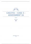 CAS3701 - Case 3 - Assessment 16
