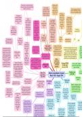 Alevel History: Hitler's consolidation of power 1933-34 Mindmap