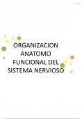 organización anatomo funcional del sistema nervioso