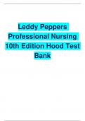 Leddy Peppers Professional Nursing 10th Edition Hood Test Bank