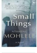 SMALL THINGS TEXTBOOK FOR ENG1501