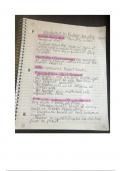 Into to Fashion Chapters 1-4 Notes