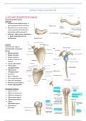 Anatomie van de bovenste ledematen (LP8)
