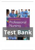 Leddy & Pepper's Professional Nursing 10th Edition Lucy J. Hood Test Bank | All Chapters Explored