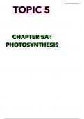 Unit 4 notes biology IAL edexcel, Photosynthesis 