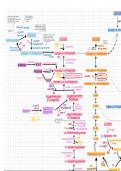 Carbohydrate metabolism complete reaction map