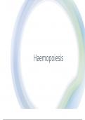 Summary -  Haematopoiesis 