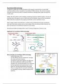 Summary of Recombinant DNA lecture series