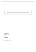 Paper Doorwerking Europees recht (cijfer 9.0) - (RM3113) staatsrecht