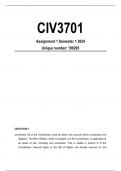 CIV3701 Assignment 1 Solutions Semester 1 2024