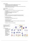 Samenvatting -  Bloed; Functies en ziekten (EASBFZ01K)