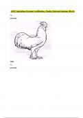 AEST Agriculture Systems Certification - Poultry External Anatomy 4B of 6 
