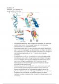Biologie Nectar 6VWO samenvatting: H17 DNA