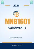 MNB1601 Assignment 3 2024