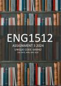 ENG1516 ASSIGNMENT 3 2024 (2)