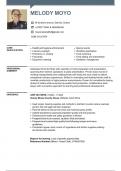 Professional CV Template: Stand Out and Impress