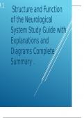 Structure and Function of the Neurological System Study Guide with Explanations and Diagrams Complete Summary 2024-2025.