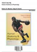 Test Bank: Human Anatomy & Physiology 10th Edition by Marieb - Ch. 1-29, 9780321927026, with Rationales