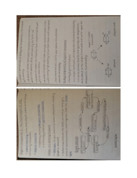 Organic Molecules (Very Clear and Concise)
