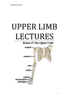 Upper and lower limb anatomy - Entire set of lectures