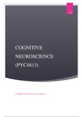 Cognitive Neuroscience (PYC4813) Exam Prep