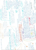 Mind Map on Geography: Geomorphology 