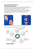 Samenvatting Orgaansystemen: Hart en Vaatsysteem 