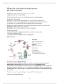 Molecular principles of development summary 7-11