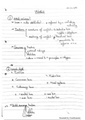 Lecture Notes: LLS (The Dutch Example)