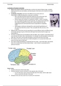 A2 Biopsychology Summary