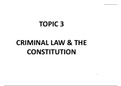 the constitution and criminal law