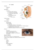 Samenvatting HC1 oogheelkunde - oogleden