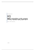 H1 Microstructuren