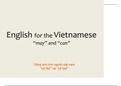 Vietnamese to English - CAN and MAY