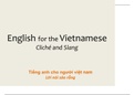 Vietnamese to English - Cliche and Slang